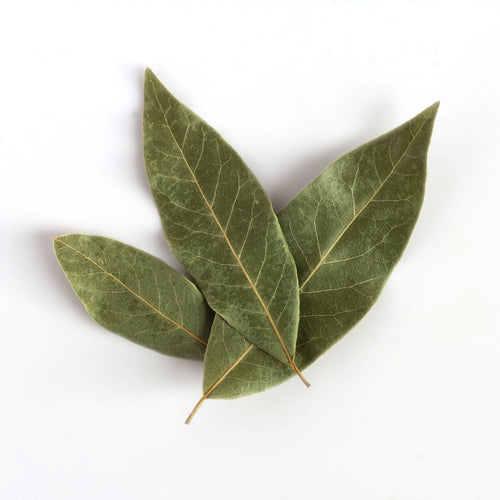 Bay Leaf, Sicilian