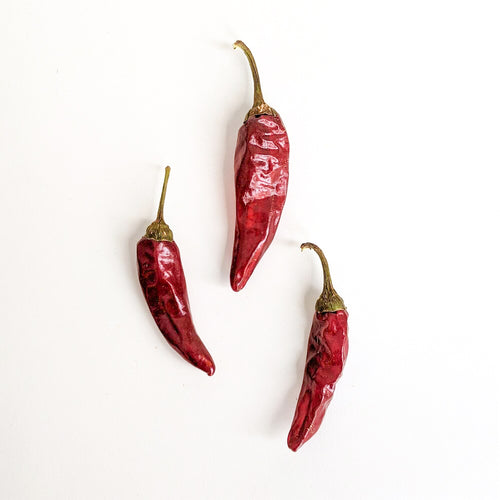 Curio Spice Co. fair-trade single origin sustainable Massachusetts whole Sichuan chiles.