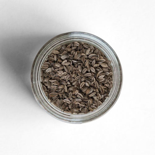 Curio Spice Co. fair-trade single origin sustainable California wild fennel seed in a glass jar from above.