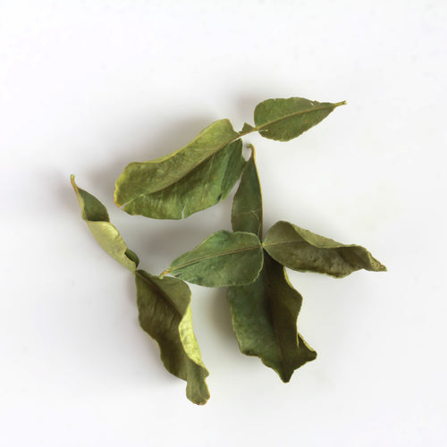 Makrut Lime Leaf