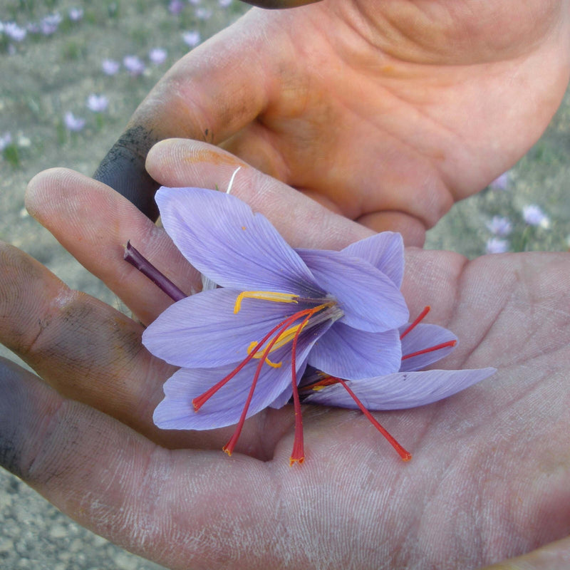 Saffron Prep Made Simple: How to Get the Most Flavor From Every Strand