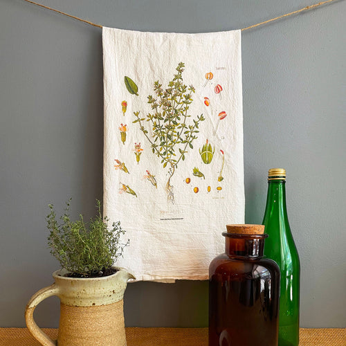 Foxfire Creative Studio Flour Sack Towel with the Thyme botanical design, hanging on a wall.